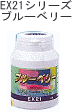 EX21�V���[�Y�@�u���[�x���[